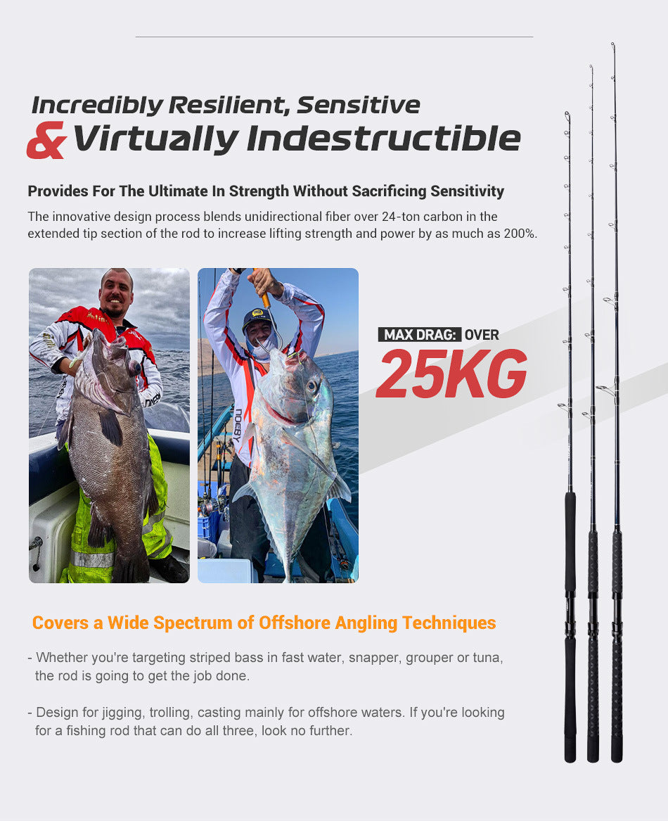 NOEBY Slow Pitch Jigging/Saltwater/Topwater/Big Game/GT /Tuna Rod BWS661XXHC